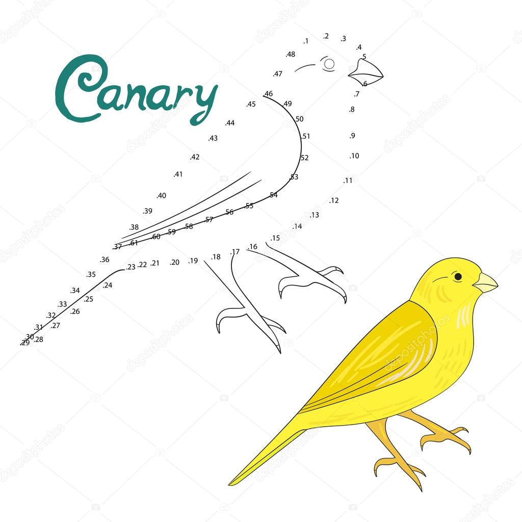 Jogo educativo conectar pontos para desenhar pássaro canário imagem  vetorial de AlexanderPokusay© 87434694